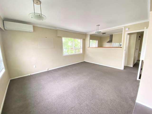 8a Speight Road Kohimarama_1