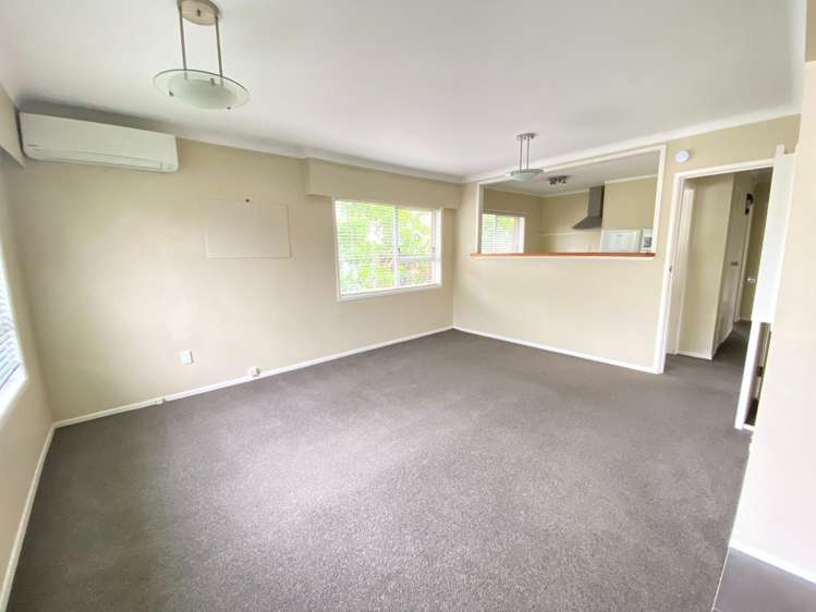 8a Speight Road Kohimarama_1