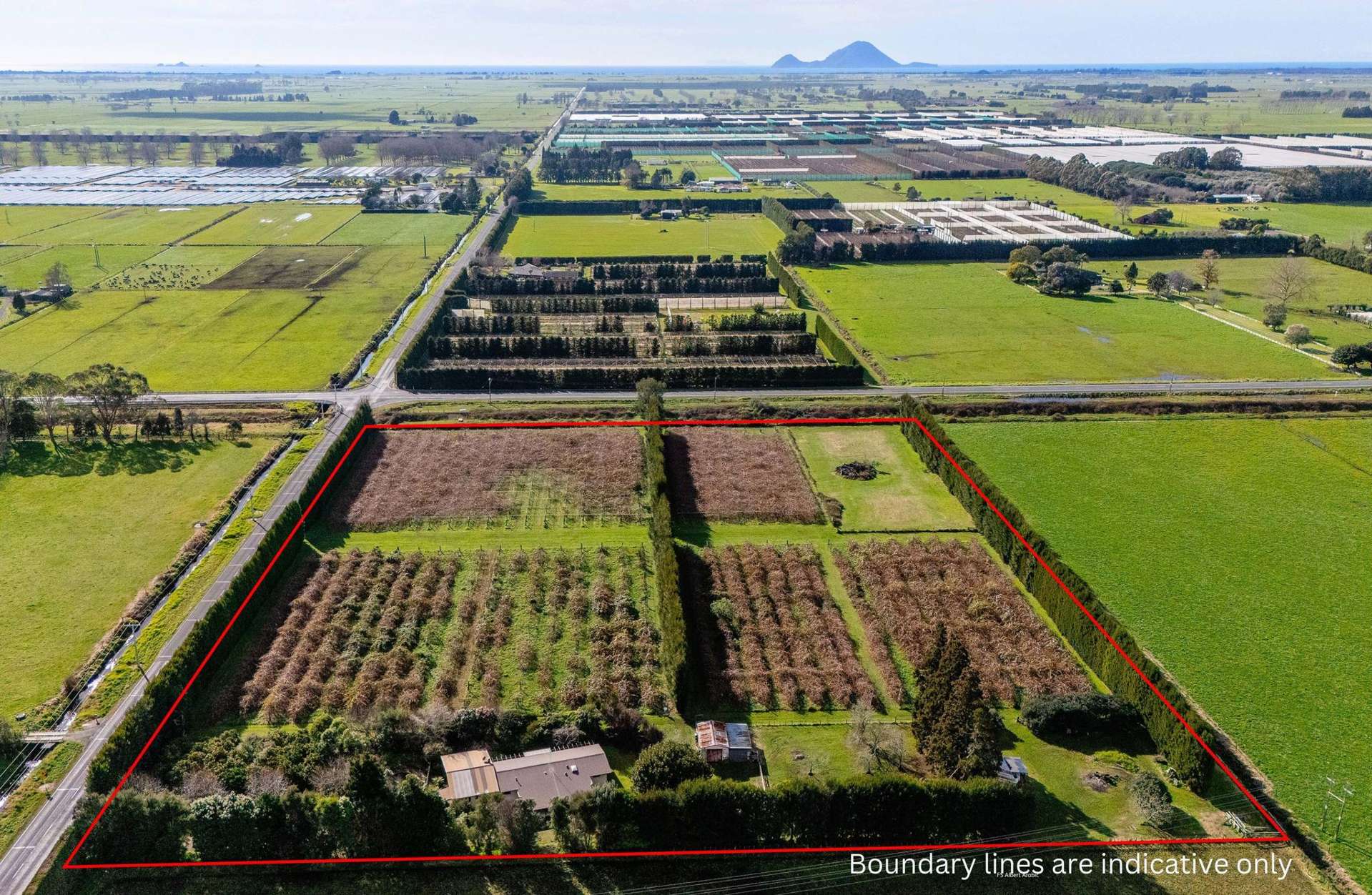 343 Western Drain Road Edgecumbe_0