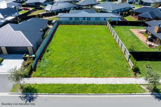 Your blank canvas in established Te Whariki