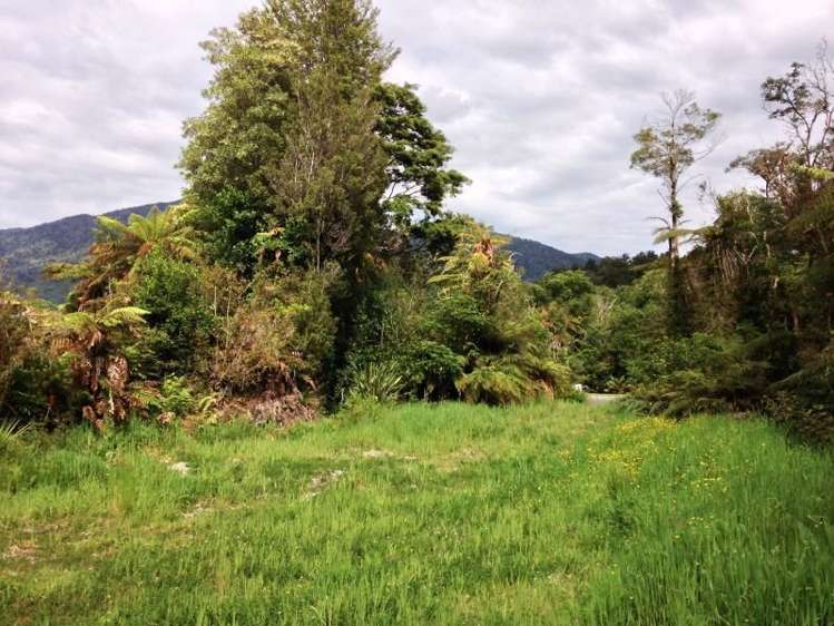 7 Punga Grove Lake Kaniere_3
