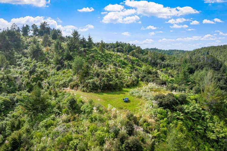 Lot 3 Radiata Road Warkworth_6