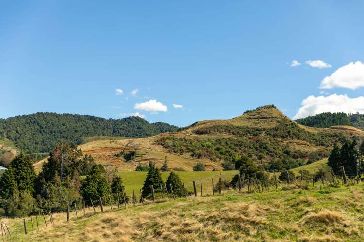 65 Symonds Street Waihi_8