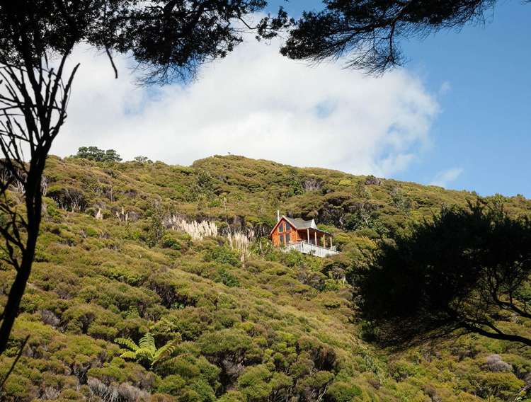 132 Lone Kauri Road Karekare_15