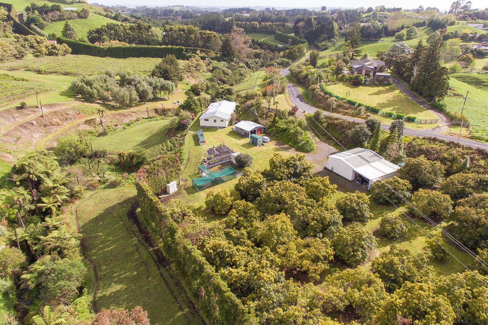 210 Youngson Road Whakamarama_0