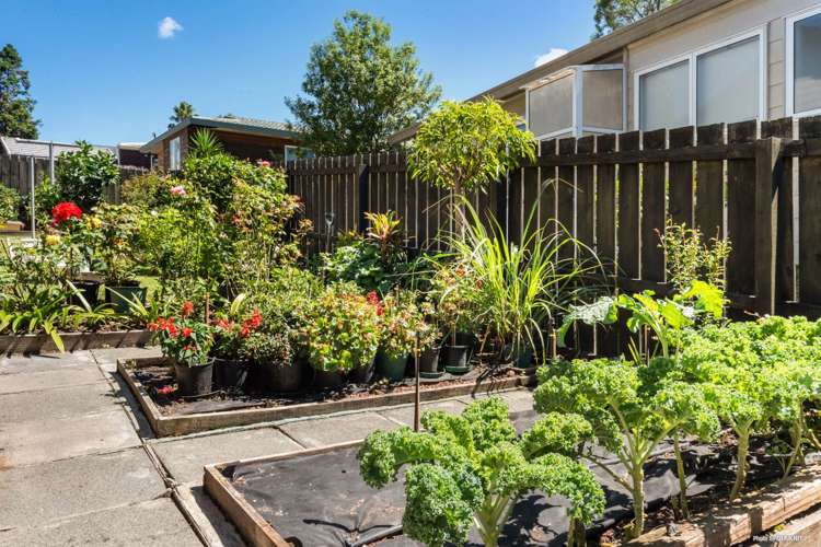 19 Faram Place Massey_6