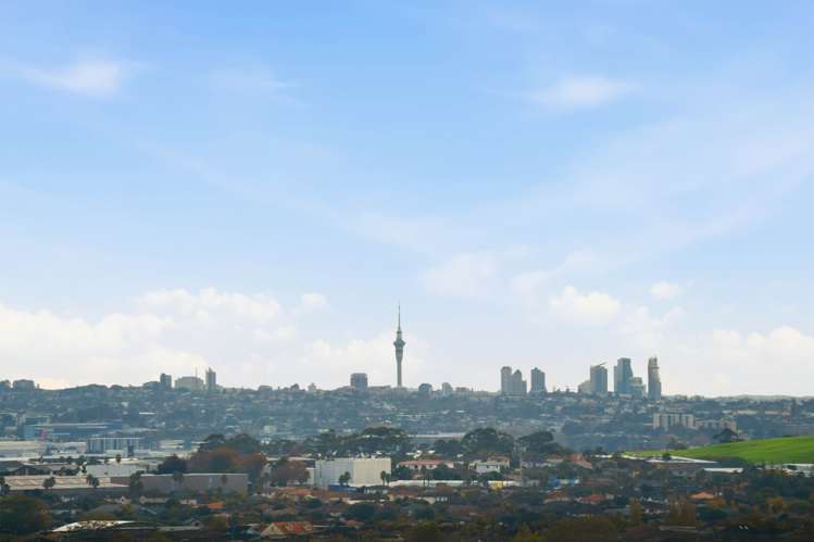 56A Tinaku Road Flat Bush_43