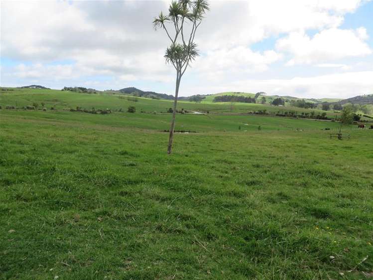 Ovens Road Matakohe_7