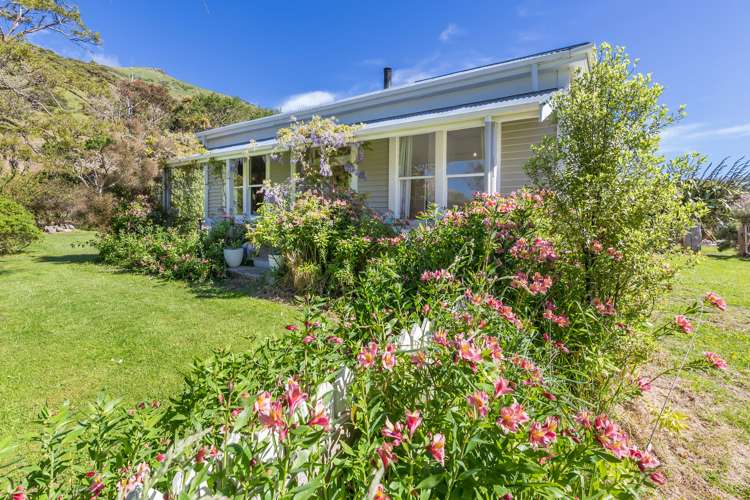 1339 Okains Bay Road Okains Bay_6