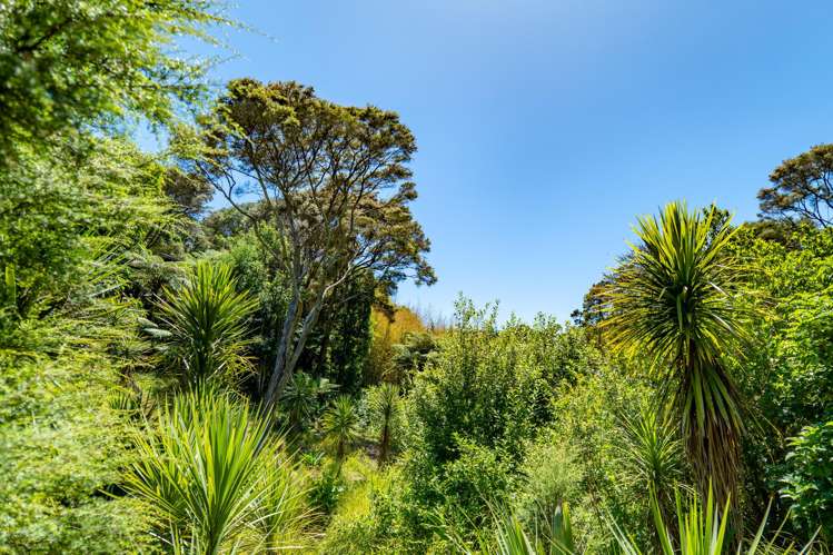 39 Te Aroha Avenue Oneroa_16