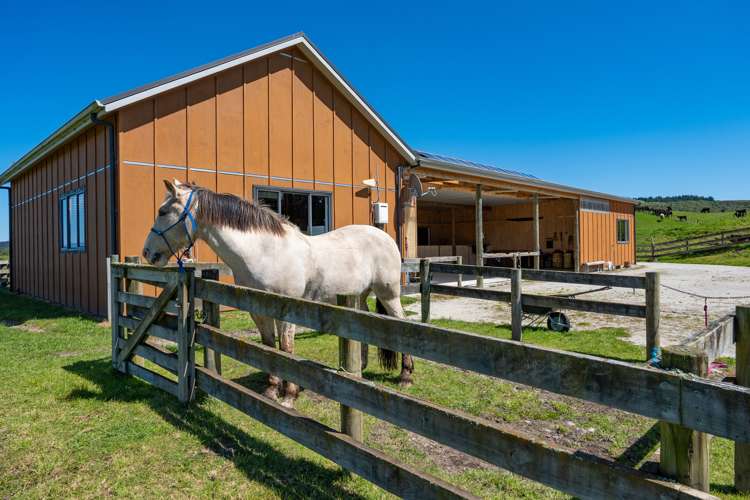 18 Kahikatea Drive Kinloch_21