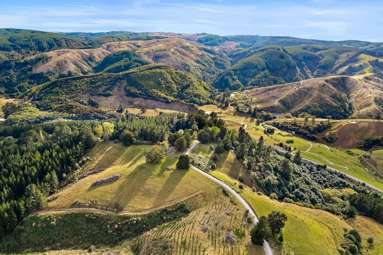 353 Blue Spur Road_3