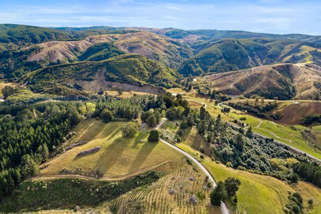 353 Blue Spur Road Lawrence_3