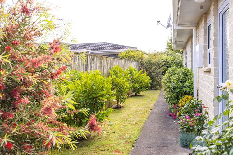 12 Kakaho Drive Tawhero_8