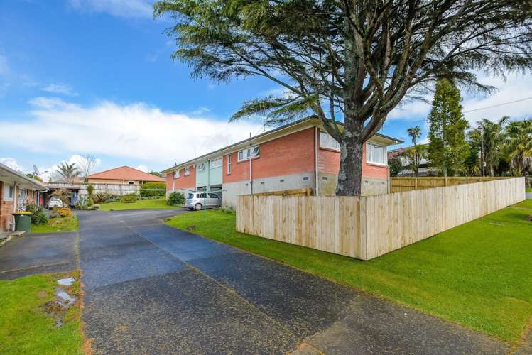 48 Helvetia Road Pukekohe_5
