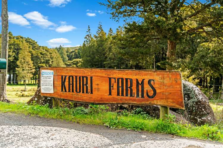 250 Apotu Road Kauri_18