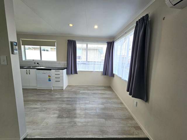 4 Argosy Place Blenheim_3