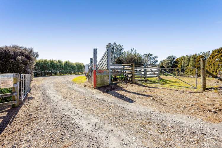 389 Wortley Road Inglewood_24