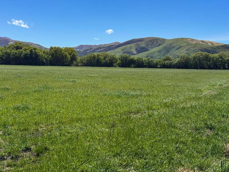 840 Ardlussa Cattleflat Road Cattle Flat_12