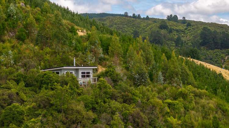 58 Colletts Road Mangaroa_43