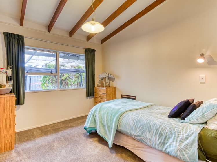 119 Garnett Street Raureka_6