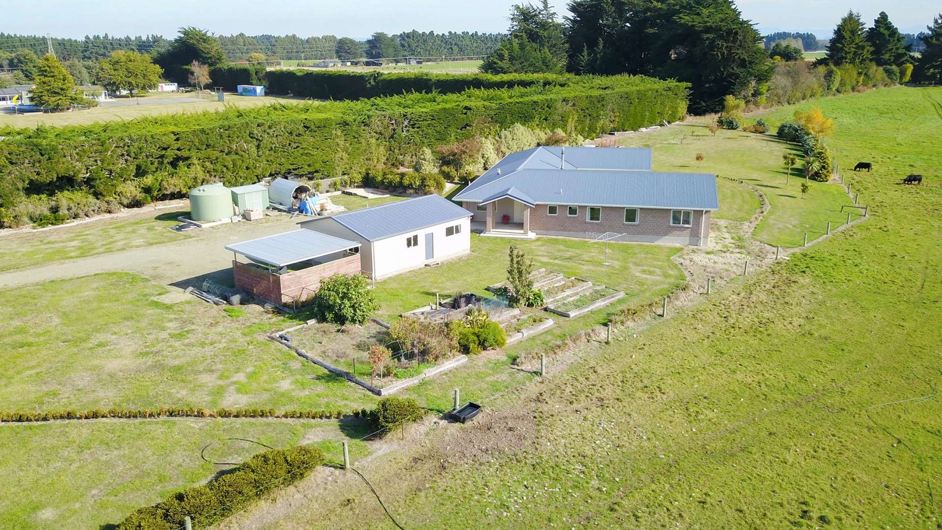 1 Ruane Street Glenavy_0