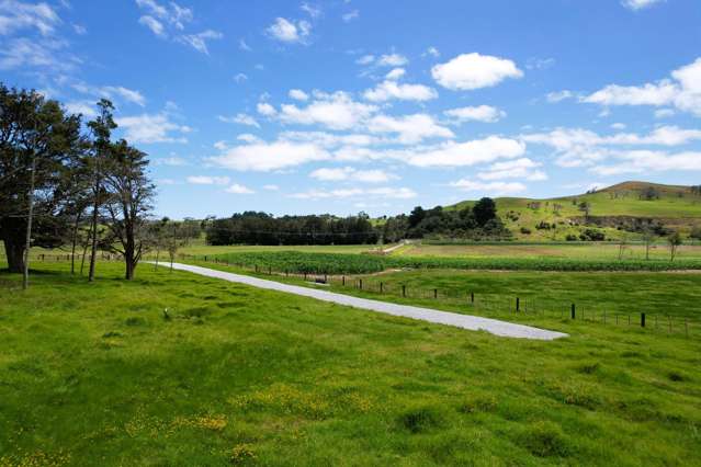 Lot Lot 3 Sills Road Dargaville_1