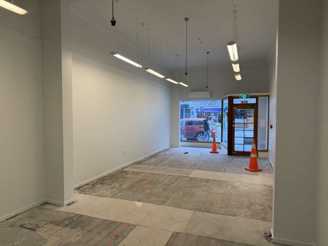 378 George Street Dunedin Central_1