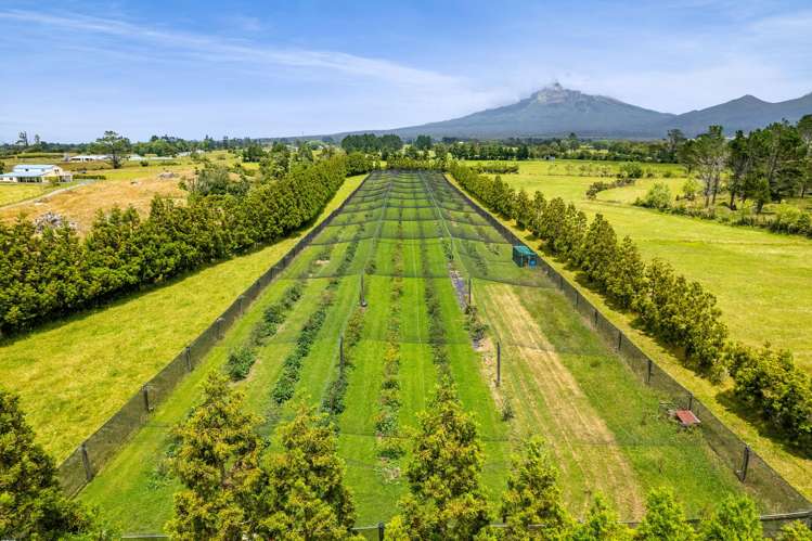 438B Alfred Road Egmont Village_39