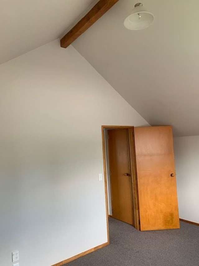 3/54 Hamilton Road Cambridge_4