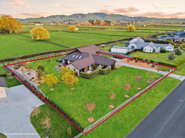 31 Whare Marama Drive Cambridge_3