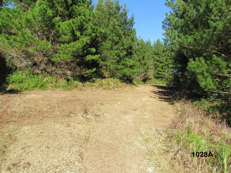 1028 A,B,C McIvor Road Rotoma_8