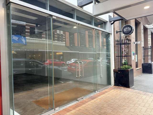 Ground/119 Featherston Street Wellington Central_1