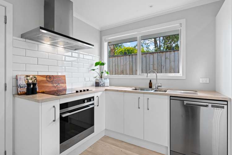 10 John Mcdonald Mews Masterton_8