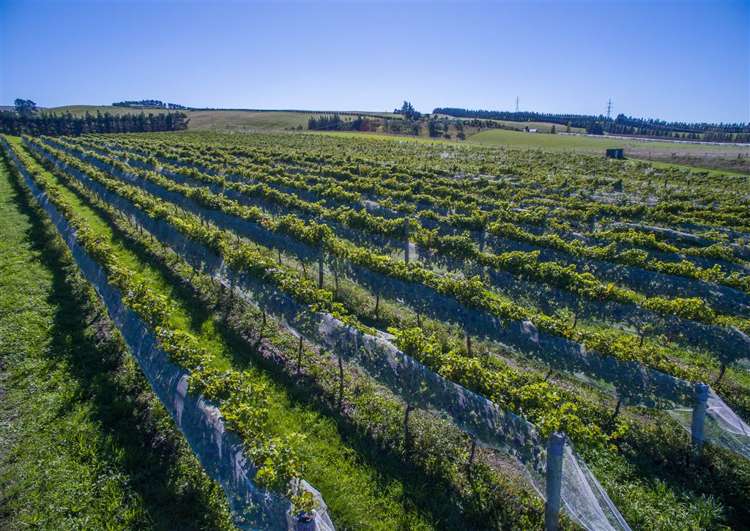 337 Mackenzies Road Waipara_6