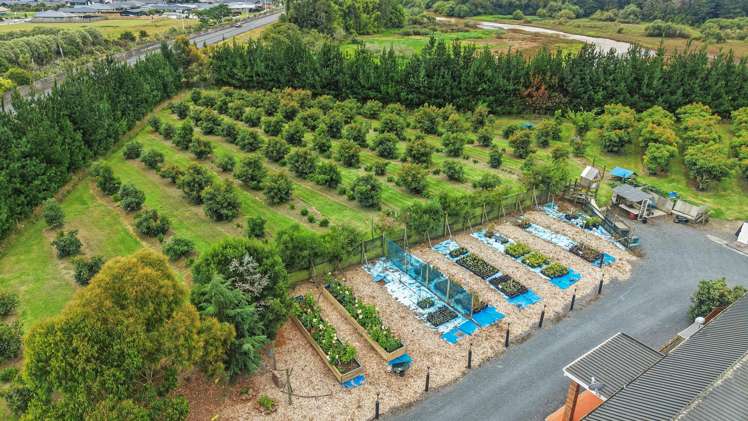 2276 Gordonton Road Taupiri_24