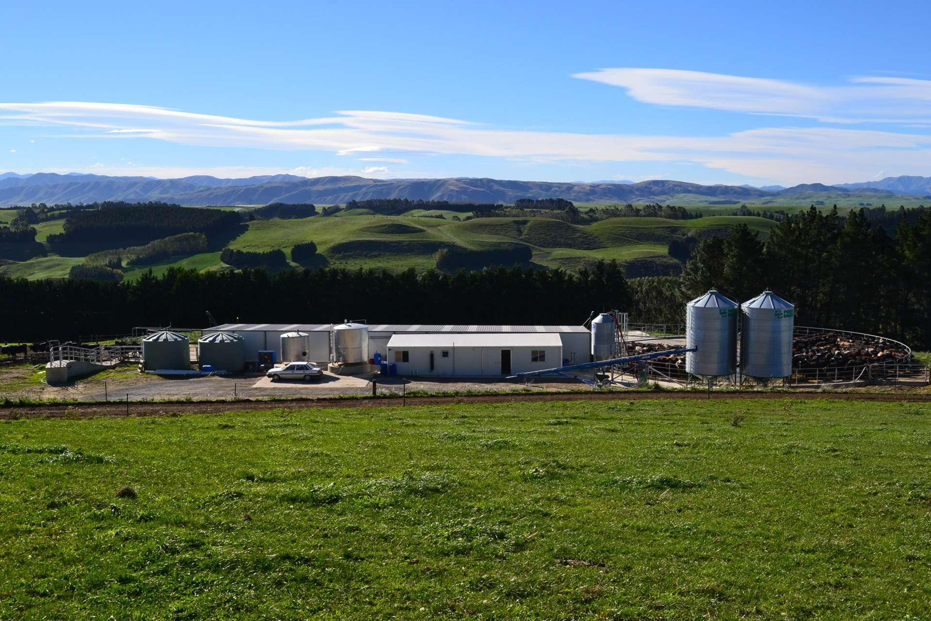 89 Brookstead Road Ngapara_0