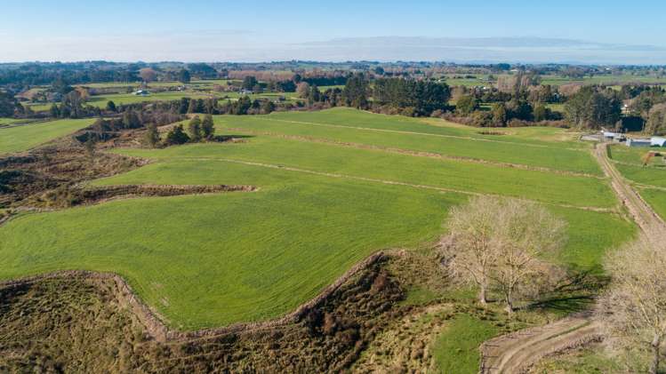 138 Higginson Road Ngahinapouri_9