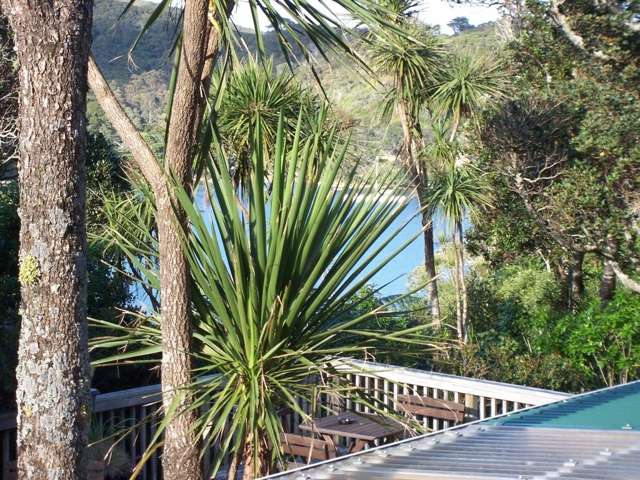 179 Shoal Bay Road Great Barrier Island (Aotea Island)_3