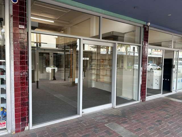 256 Emerson Street Napier Cbd_1