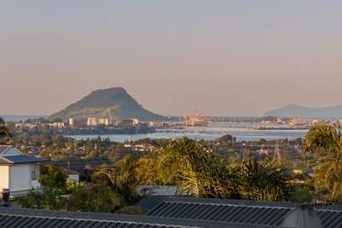 7 Upper Ohauiti Road_4