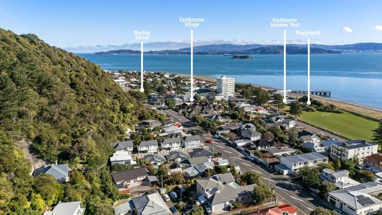 111 Muritai Road Eastbourne_19