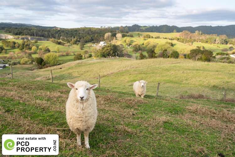 681 Otaika Valley Road Maungatapere_17