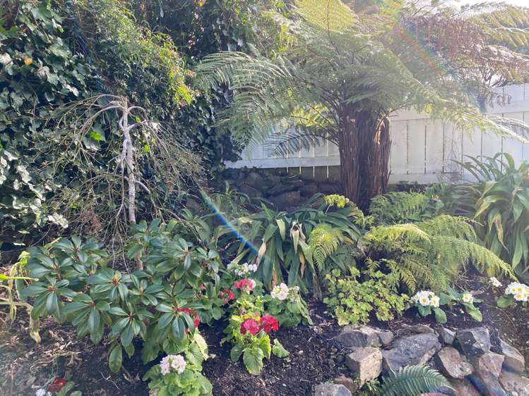 18d Lawson Street Roslyn_16