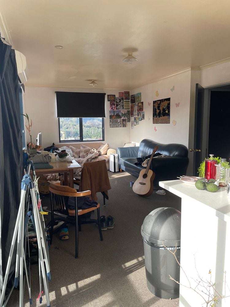 148 Queen Street North Dunedin_1