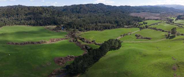 Lot 3/283 Minginui Road Galatea_4