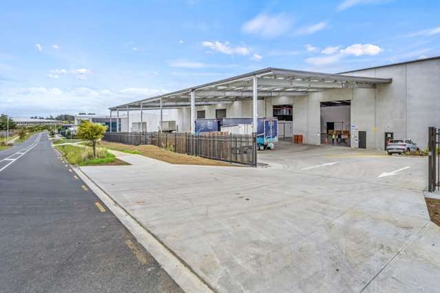 323 Landing Drive Mangere_2