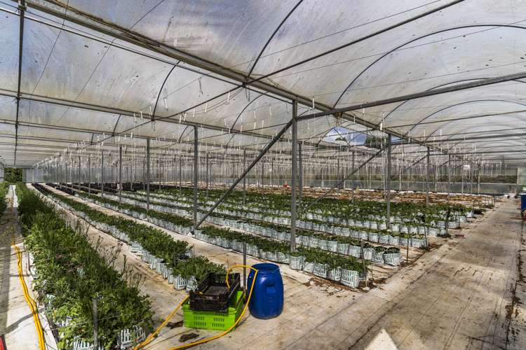 395 Fitzgerald Road Drury_11