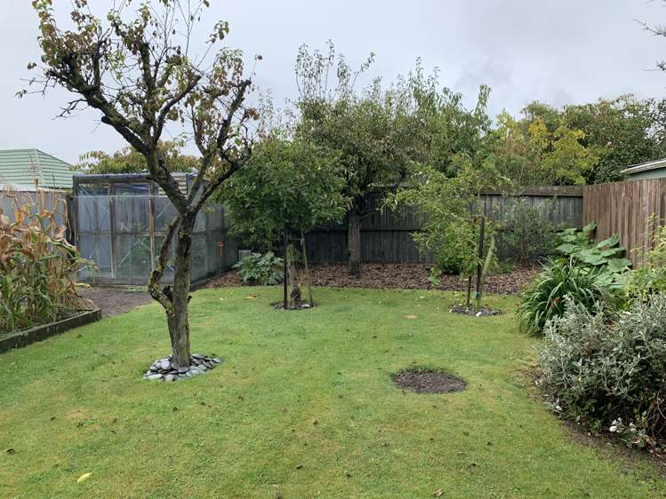 7 Cherry Lane Tinwald_15