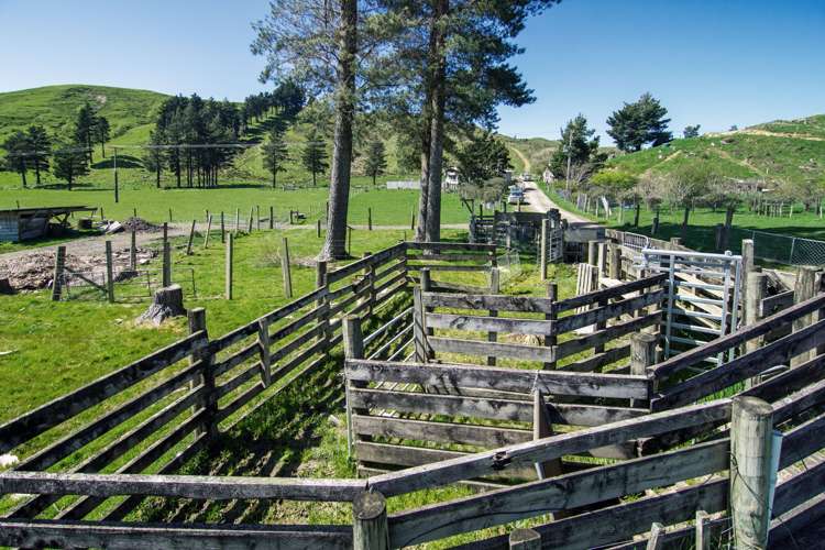 222 North Road Mauriceville_18